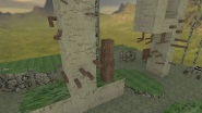 cyx_14 preview