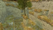 ds_autumn preview