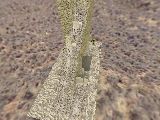 extremebeachrace_ez preview
