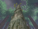 kz_cxg_sequoia preview