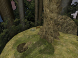 kz_kzdk_timber preview
