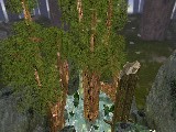 kz_man_forest preview