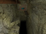 kz_waterplant preview