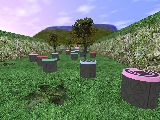 nz_playnoob preview