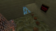 rpz_downfall preview