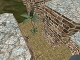 wnkz_firsty_v2 preview